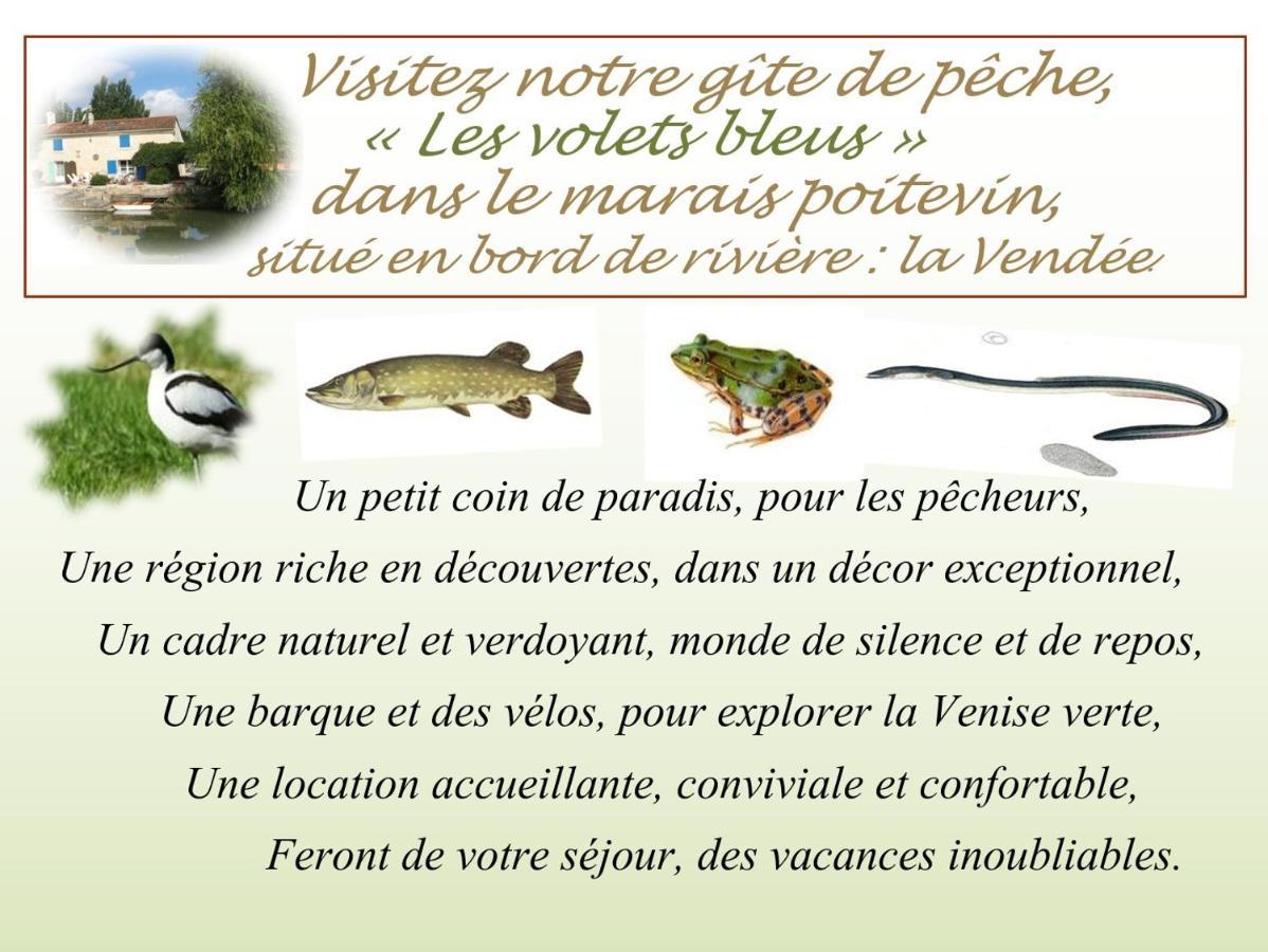 Marais Poitevin Bord Riviere Peche ,Barque, Velos, Wifi, Linge, Cheminee, Cuisine, Terrain De Boules La Taillee Kültér fotó