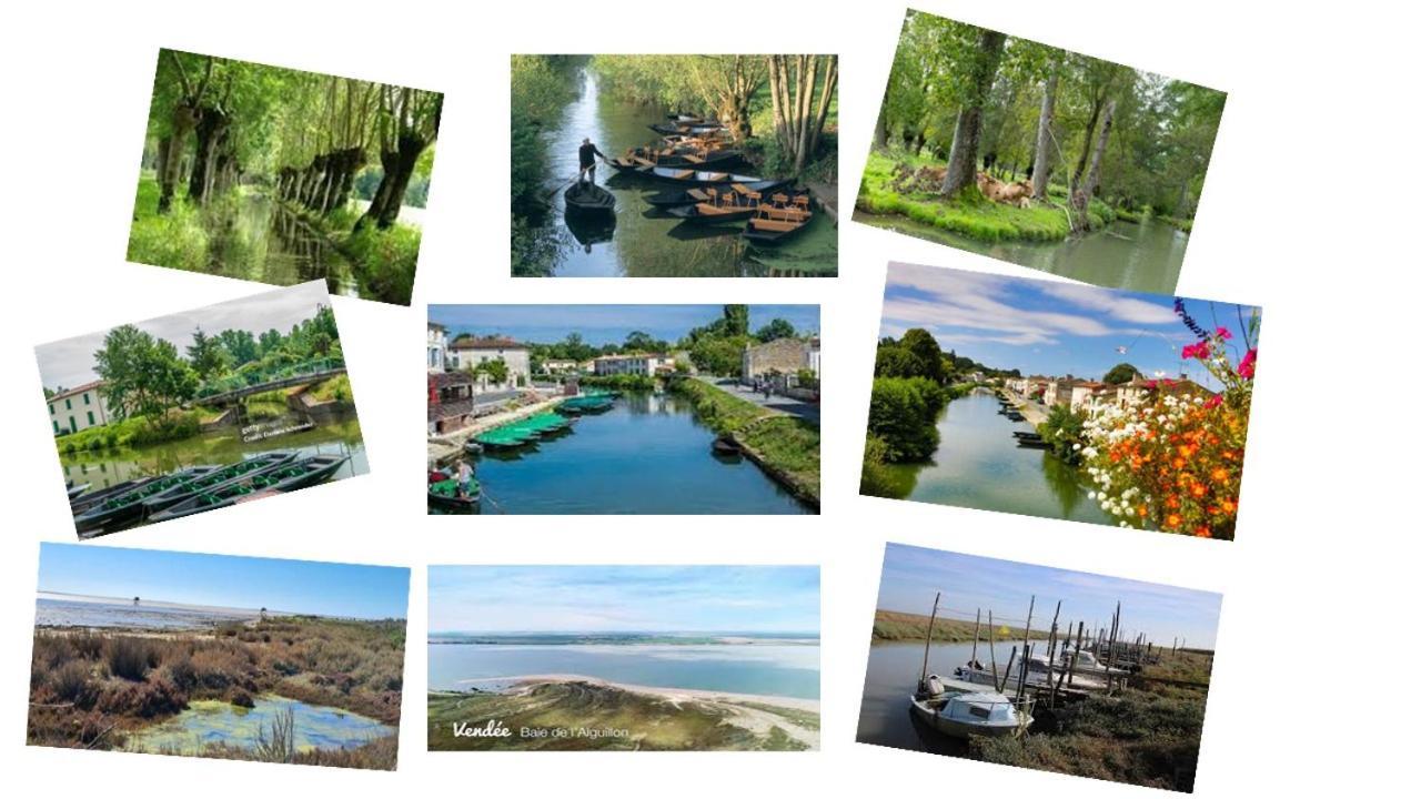 Marais Poitevin Bord Riviere Peche ,Barque, Velos, Wifi, Linge, Cheminee, Cuisine, Terrain De Boules La Taillee Kültér fotó
